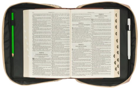 POCHETTE BIBLE LARGE - TOILE NATURELLE - AMAZING GRACE