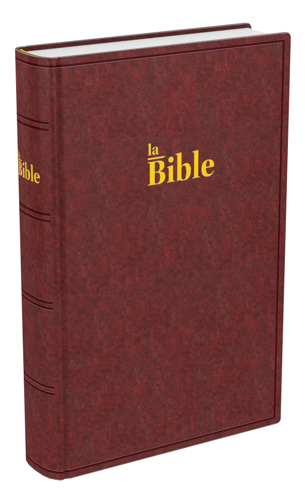 BIBLE DARBY COMPACT RIGIDE BRUN-ROUGE