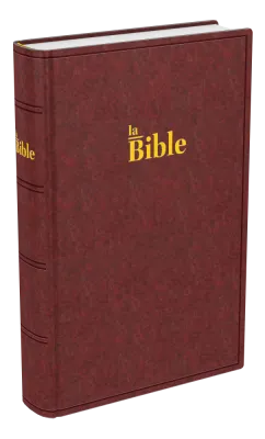 BIBLE DARBY COMPACT RIGIDE BRUN-ROUGE