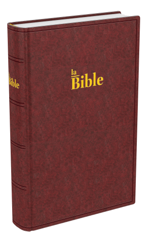 BIBLE DARBY COMPACT RIGIDE BRUN-ROUGE