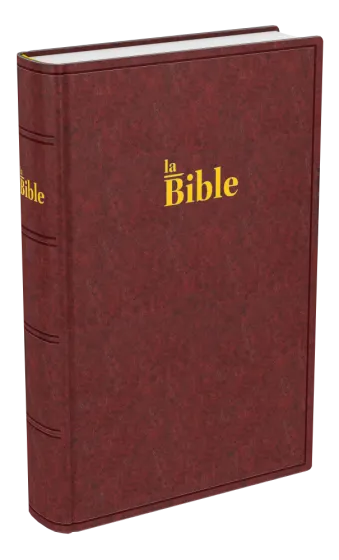 BIBLE DARBY COMPACT RIGIDE BRUN-ROUGE