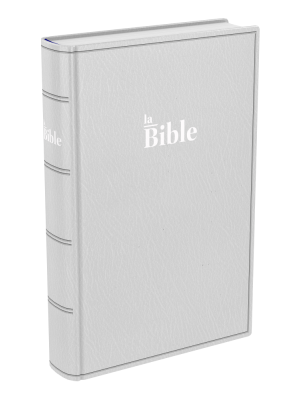 BIBLE DARBY COMPACT SOUPLE GRIS