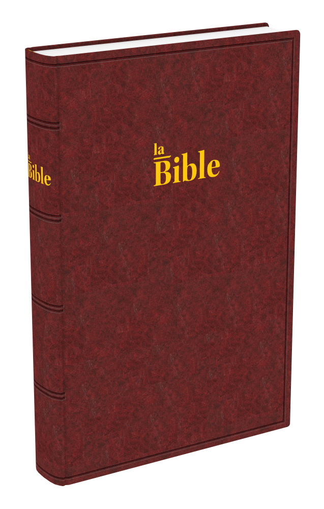 BIBLE DARBY GRAND RIGIDE BRUN-ROUGE