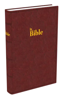 BIBLE DARBY GRAND RIGIDE BRUN-ROUGE