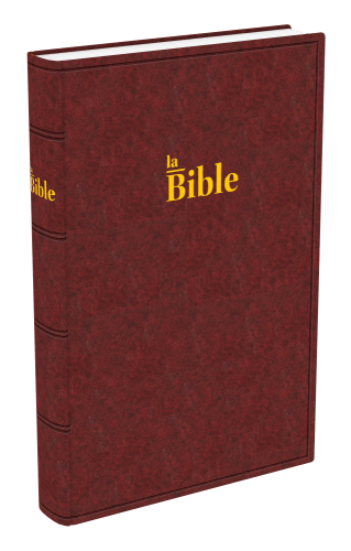 BIBLE DARBY GRAND RIGIDE BRUN-ROUGE