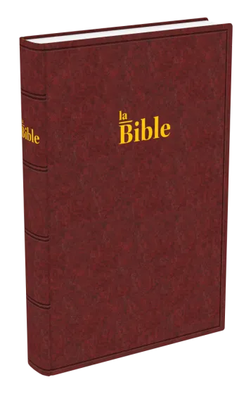 BIBLE DARBY GRAND RIGIDE BRUN-ROUGE