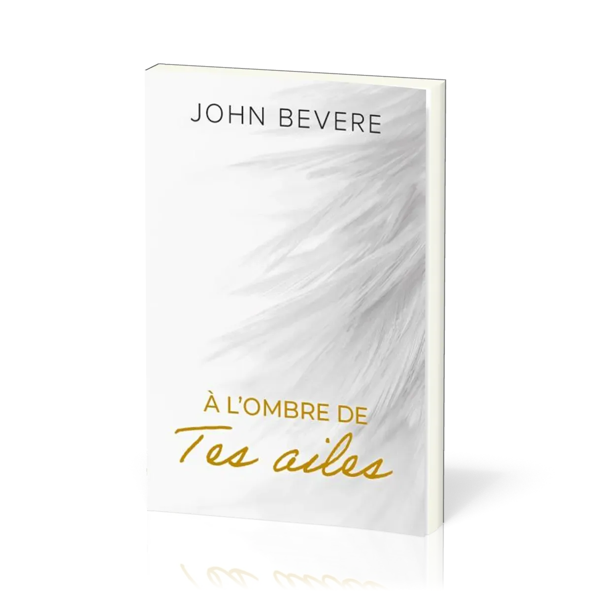 A L'OMBRE DE TES AILES - NELLE EDITION