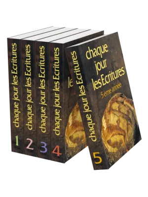 CHAQUE JOUR LES ECRITURES SERIE - SANS COFFRET