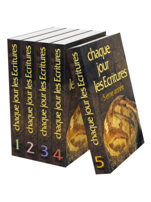 CHAQUE JOUR LES ECRITURES SERIE - SANS COFFRET