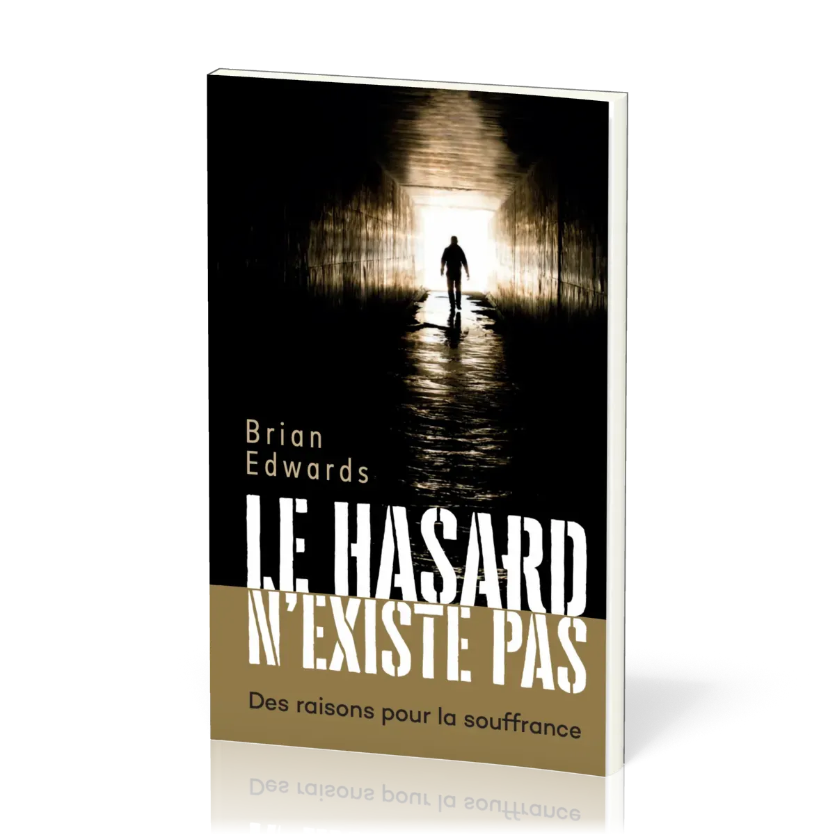 HASARD N'EXISTE PAS (LE) - DES RAISONS POUR LA SOUFRANCE