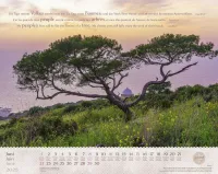CALENDRIER EPT ISRAEL SHALOM - GRAND FORMAT