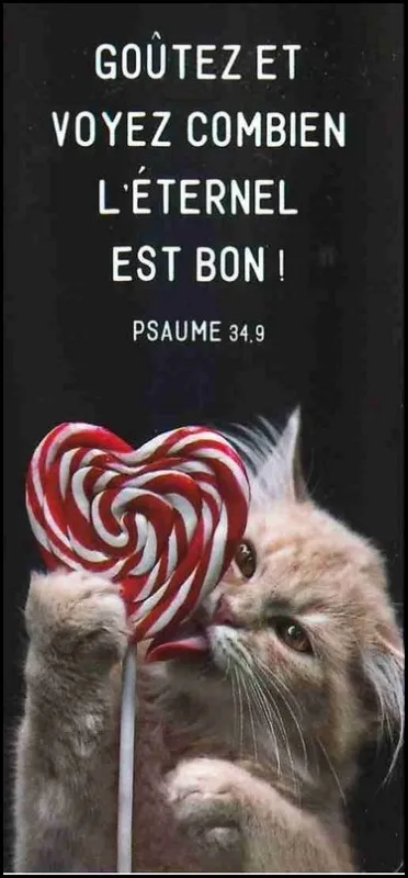 MARQUE-PAGE MAGNET PS 34.9