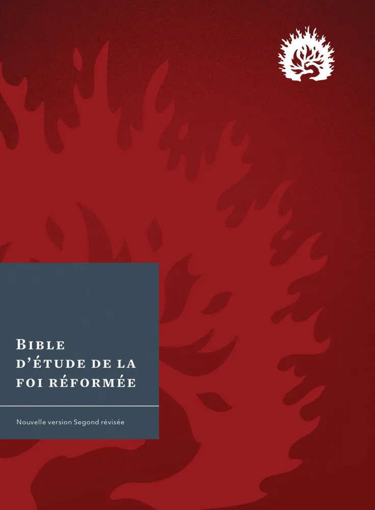 BIBLE COLOMBE D'ETUDE DE LA FOI REFORMEE RIGIDE POURPRE BIBLE COLOMBE D'ETUDE DE LA FOI REFORMEE RIGIDE POURPRE