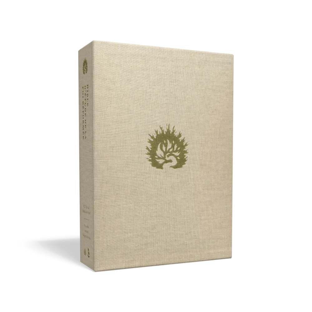 BIBLE COLOMBE D'ETUDE DE LA FOI REFORMEE SOUPLE SIMILICUIR MARRON BIBLE COLOMBE D'ETUDE DE LA FOI REFORMEE SOUPLE SIMILICUIR MARRON