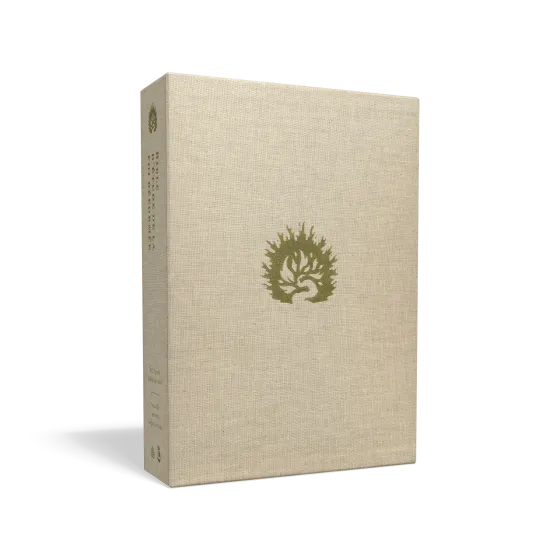 BIBLE COLOMBE D'ETUDE DE LA FOI REFORMEE SOUPLE SIMILICUIR BLANC