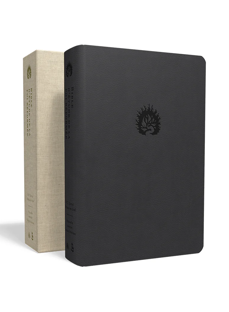 BIBLE COLOMBE D'ETUDE  FOI REFORMEE SOUPLE SIMILI ANTHRACITE
