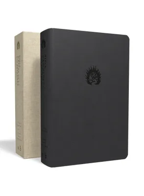 BIBLE COLOMBE D'ETUDE  FOI REFORMEE SOUPLE SIMILI ANTHRACITE