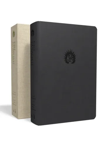 BIBLE COLOMBE D'ETUDE  FOI REFORMEE SOUPLE SIMILI ANTHRACITE