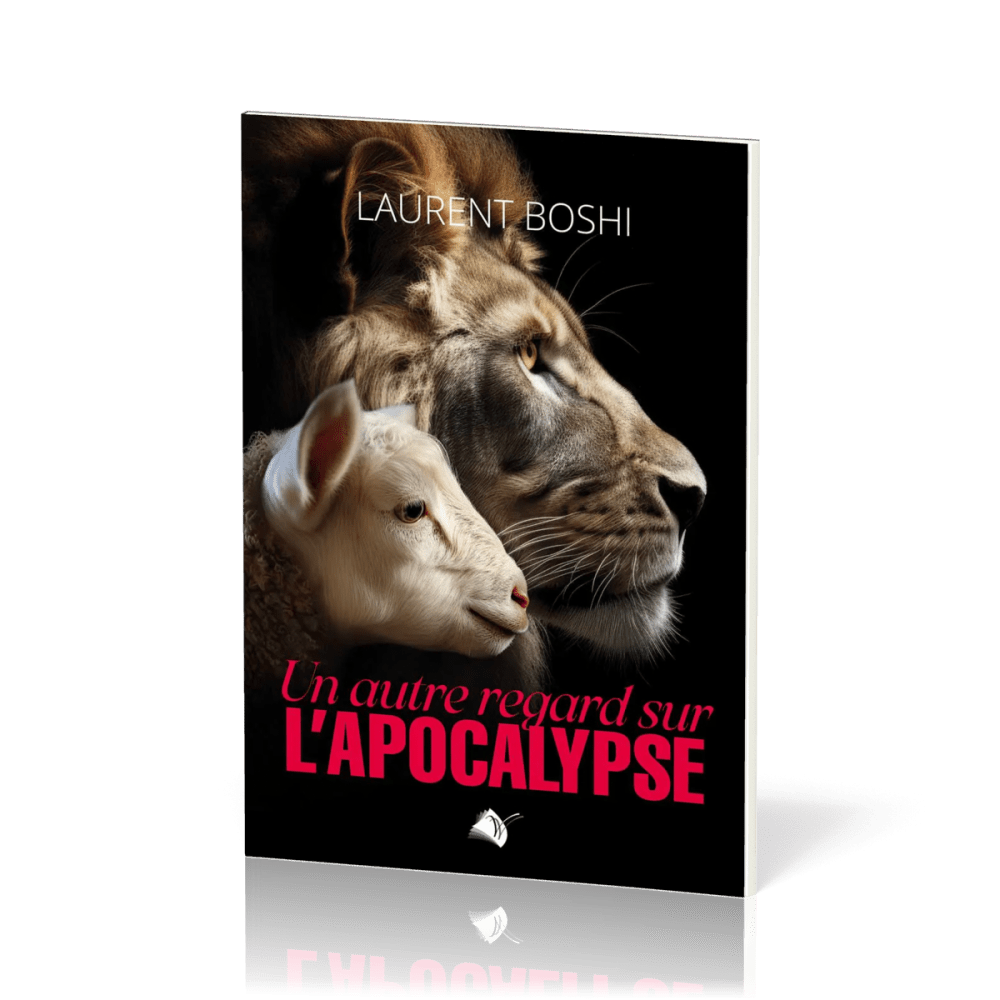 UN AUTRE REGARD SUR L'APOCALYPSE