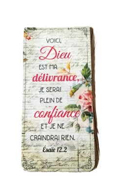 MARQUE-PAGES MAGNET ESAIE 12.2