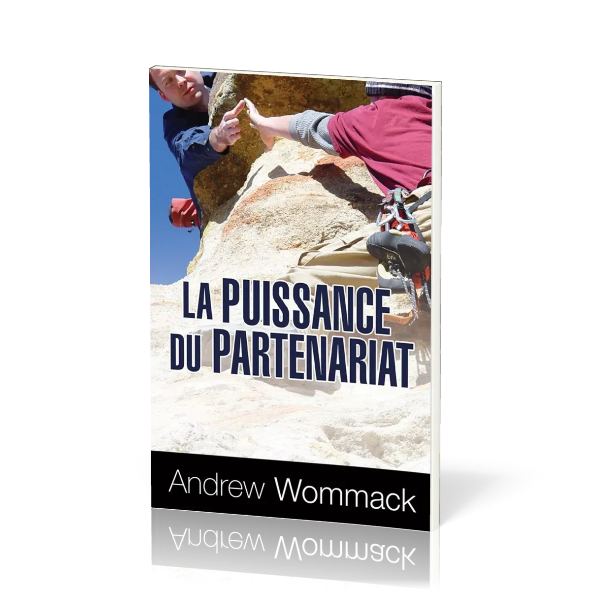 PUISSANCE DU PARTENARIAT (LA)