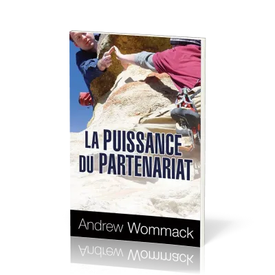 PUISSANCE DU PARTENARIAT (LA)