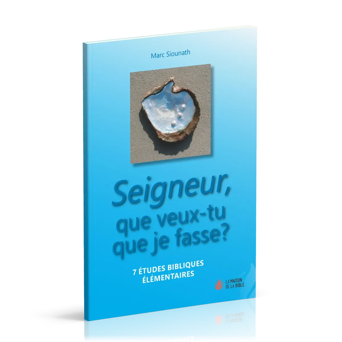 SEIGNEUR QUE VEUX-TU QUE JE FASSE ? - 7 ETUDES BIBLIQUES ELEMENTAIRES