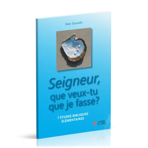 SEIGNEUR QUE VEUX-TU QUE JE FASSE ? - 7 ETUDES BIBLIQUES ELEMENTAIRES