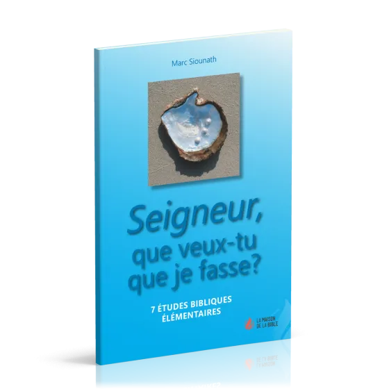 SEIGNEUR QUE VEUX-TU QUE JE FASSE ? - 7 ETUDES BIBLIQUES ELEMENTAIRES