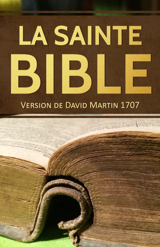 BIBLE MARTIN 1707 RIGIDE FORMAT REDUIT 19.5 X 25 CM SANS PARALLELES