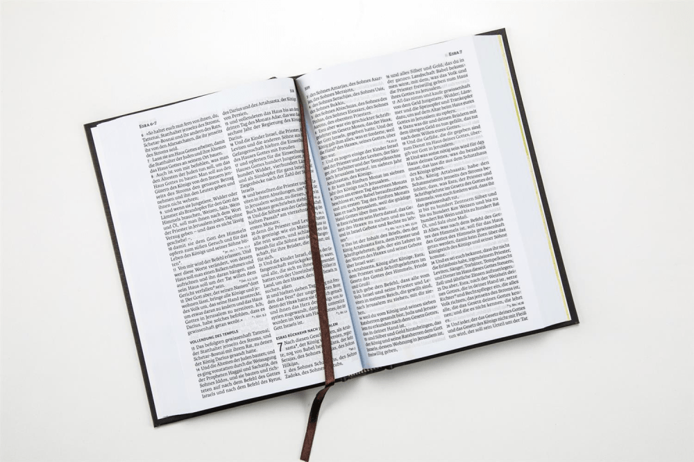 ALLEMAND LUTHER21 STANDARDAUSGABE