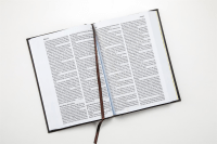 ALLEMAND LUTHER21 STANDARDAUSGABE