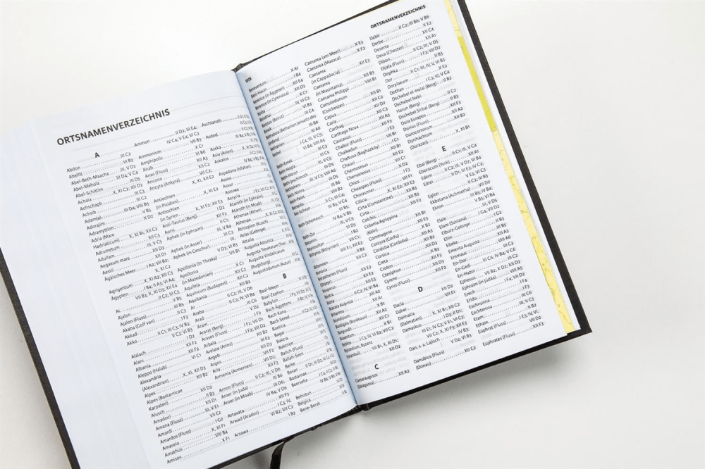 ALLEMAND LUTHER21 STANDARDAUSGABE