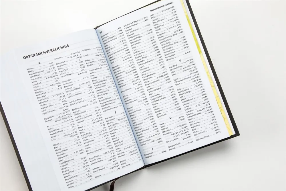 ALLEMAND LUTHER21 STANDARDAUSGABE