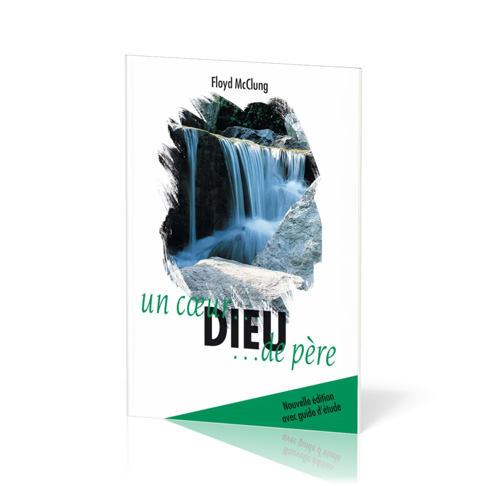 DIEU UN COEUR DE PERE - LIVRE