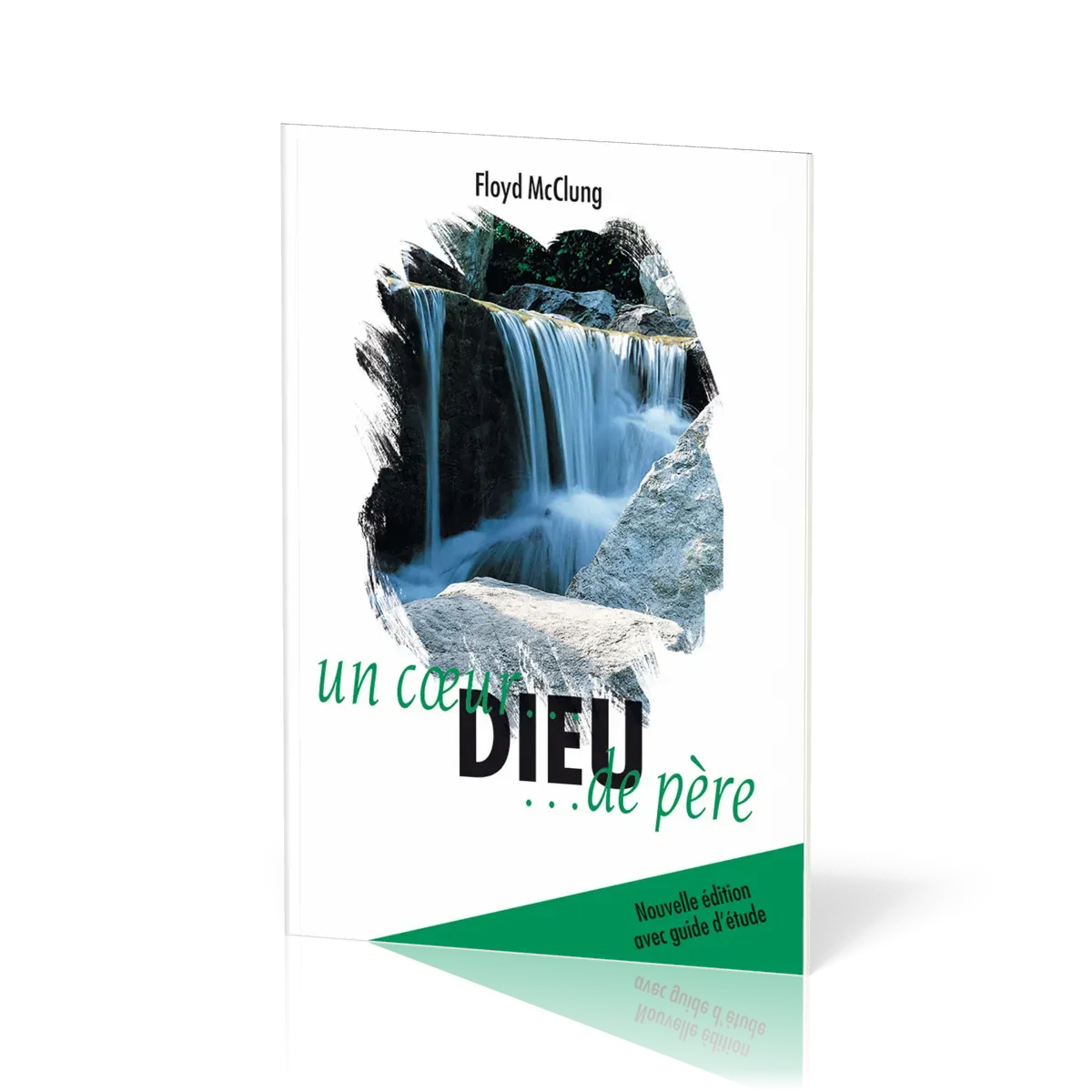 DIEU UN COEUR DE PERE - LIVRE
