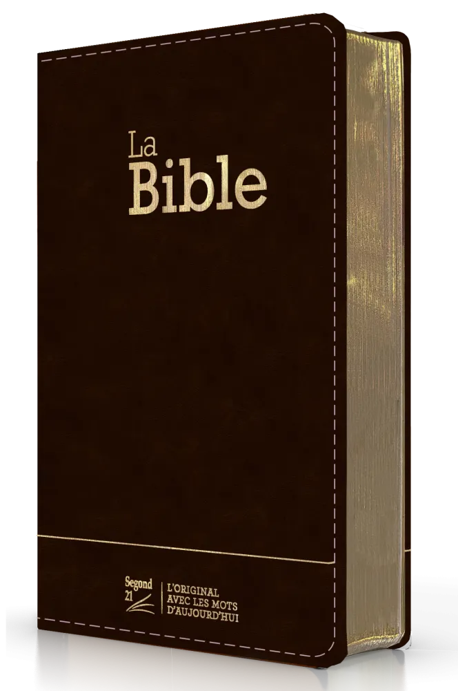 BIBLE SEGOND 21 COMPACTE "PREMIUM STYLE" SEMI-RIGIDE CUIR ANTHRACITE AVEC TRANCHES DOREES