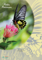 CALENDRIER CAEF PERLES PRECIEUSES - BLOC ET PLAQUE