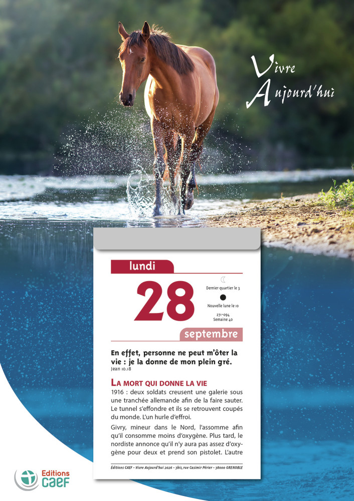 CALENDRIER CAEF VIVRE AUJOURD'HUI - BLOC GRANDE PLAQUE - MURAL