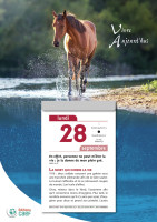 CALENDRIER CAEF VIVRE AUJOURD'HUI - BLOC GRANDE PLAQUE - MURAL