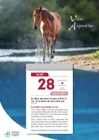 CALENDRIER CAEF VIVRE AUJOURD'HUI - BLOC GRANDE PLAQUE - MURAL