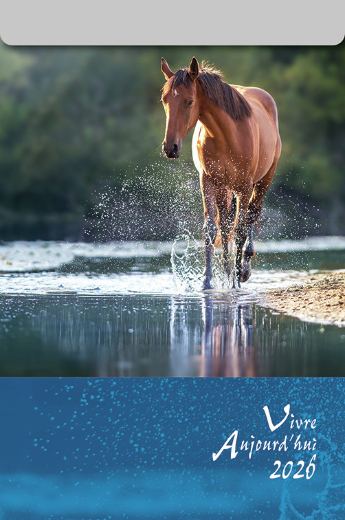 CALENDRIER CAEF VIVRE AUJOURD'HUI - BLOC GRANDE PLAQUE - MURAL
