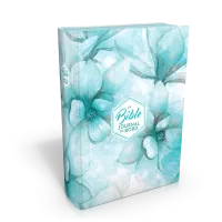 BIBLE SEGOND 21 JOURNAL DE BORD RIGIDE TOILE IMPRIMEE MOTIFS BLEU FLEURS JASPAGE TRANCHES