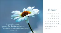 CALENDRIER CED FLEURS AVEC TEXTES BIBLIQUES