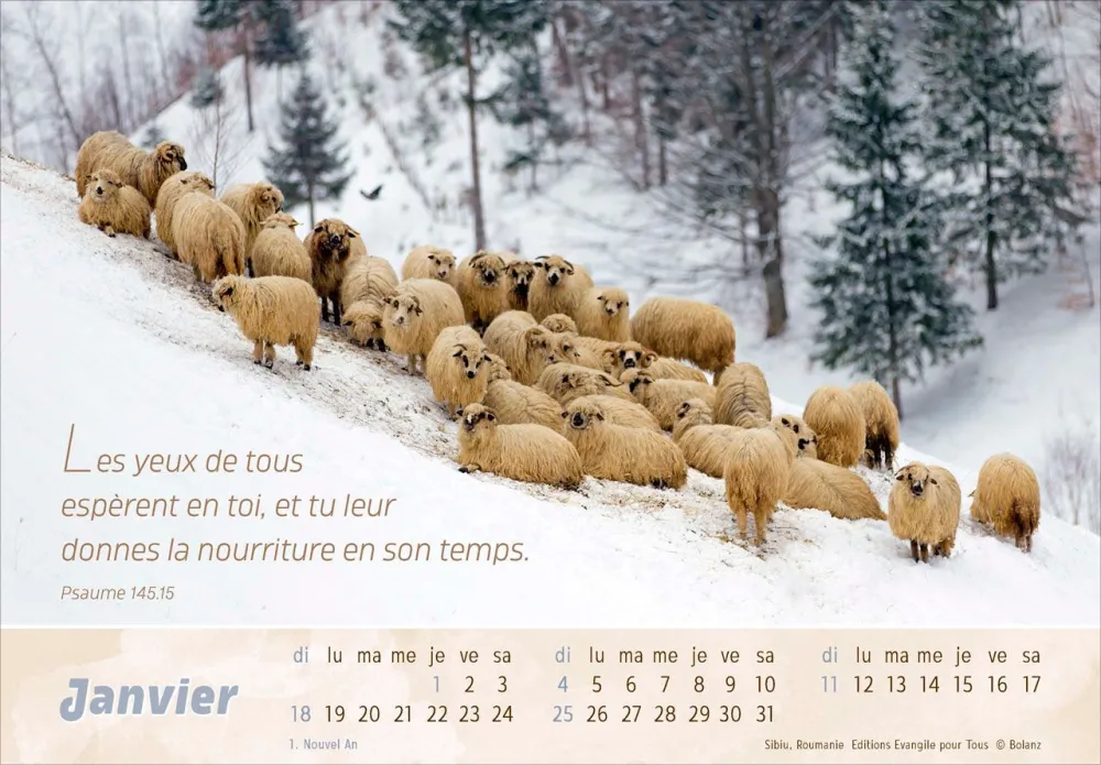 CALENDRIER EPT LE BON BERGER