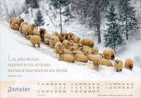 CALENDRIER EPT LE BON BERGER