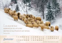 CALENDRIER EPT LE BON BERGER