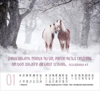 CALENDRIER EPT RENCONTRES