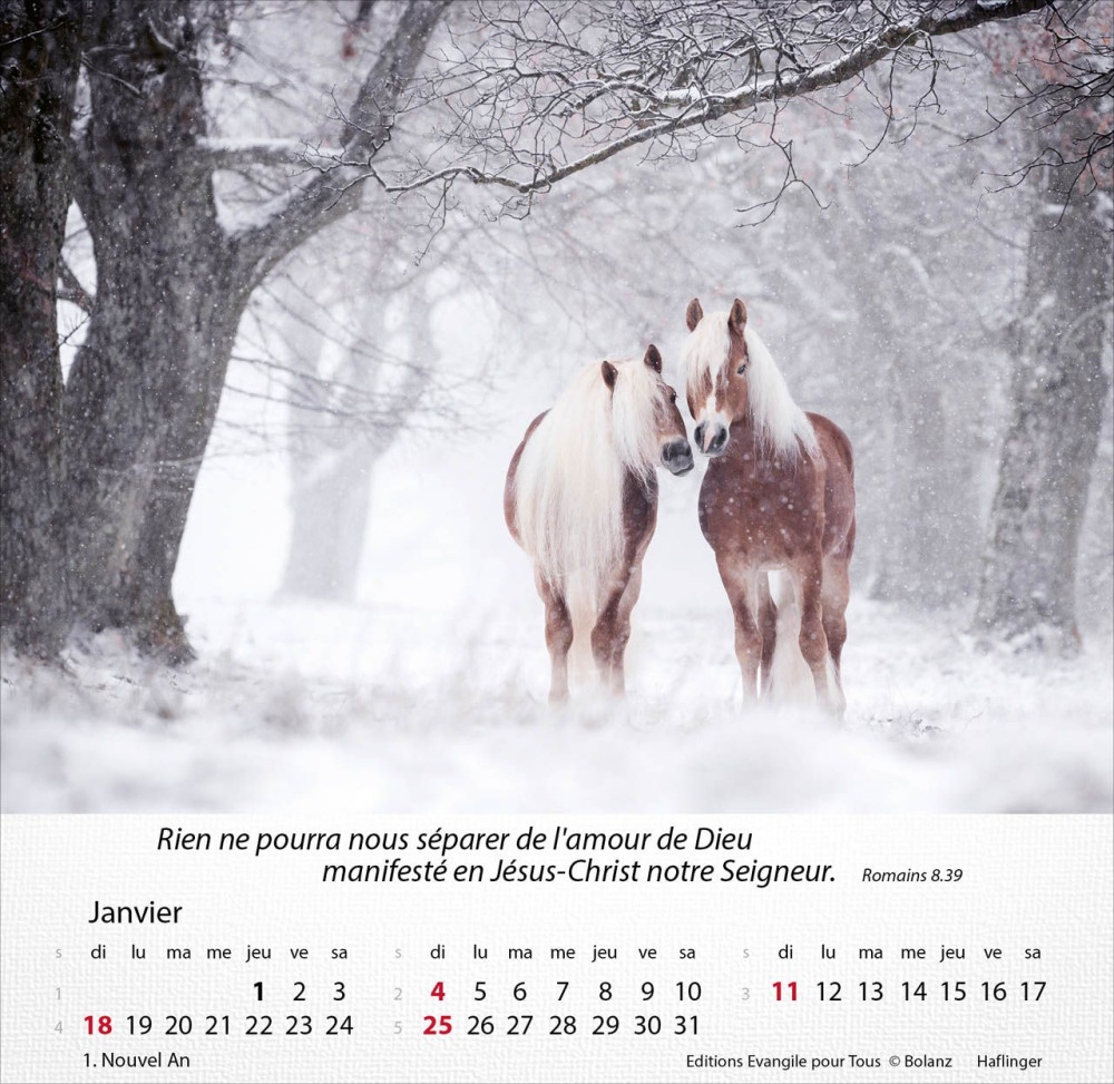 CALENDRIER EPT CHEVAUX
