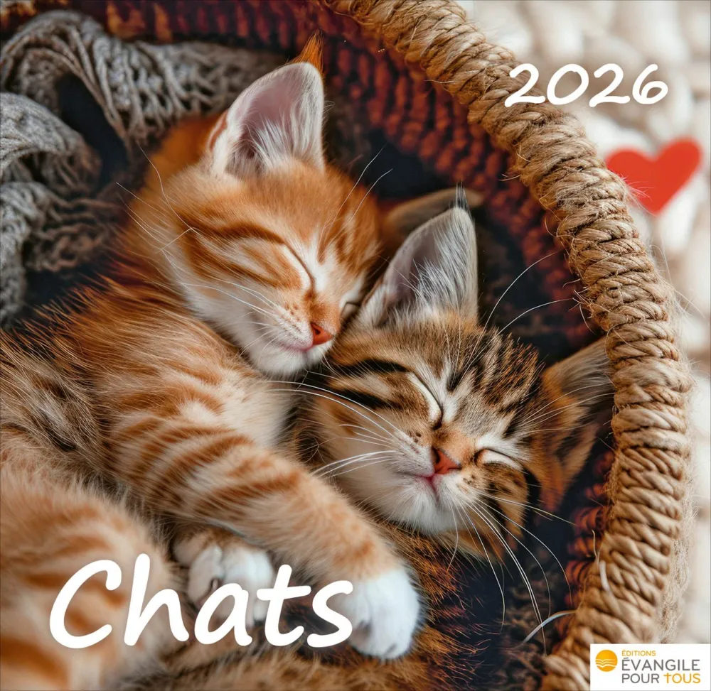 CALENDRIER EPT CHATS